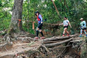 BIB: 
                            <button type="button" onclick="openModal(27723925)" class="btn btn-primary btn-sm float-right btn-popup" data-toggle="modal" data-target=".modal-high-quality">
                        <i class="fas fa-shopping-cart"></i> Add to Cart
                    </button>
                                            <button type="button" onclick="isThisMe(27723925, true)" class="btn btn-success btn-sm float-right btn-popup btn-isme hidden" data-toggle="tooltip" data-placement="bottom" title="นี่คือรูปของคุณใช่ไหม คลิกที่นี่เพื่อเอาเข้าอัลบั้ม">
                        <i class="fas fa-plus"></i> Add to album
                    </button>
                    <button type="button" onclick="isThisMe(27723925, false)" class="btn btn-warning btn-sm float-right btn-popup btn-isnotme hidden">
                        <i class="fas fa-ban"></i> Remove from album
                    </button>